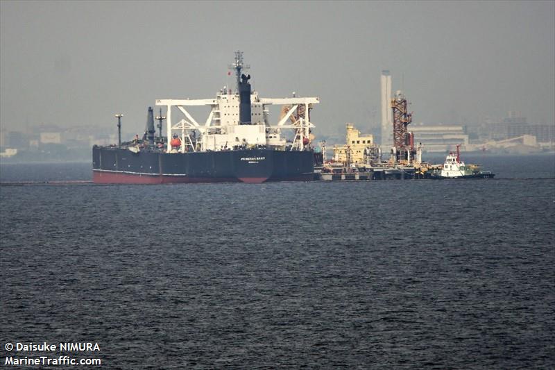 princess mary (Crude Oil Tanker) - IMO 9295593, MMSI 636018737, Call Sign D5RD8 under the flag of Liberia