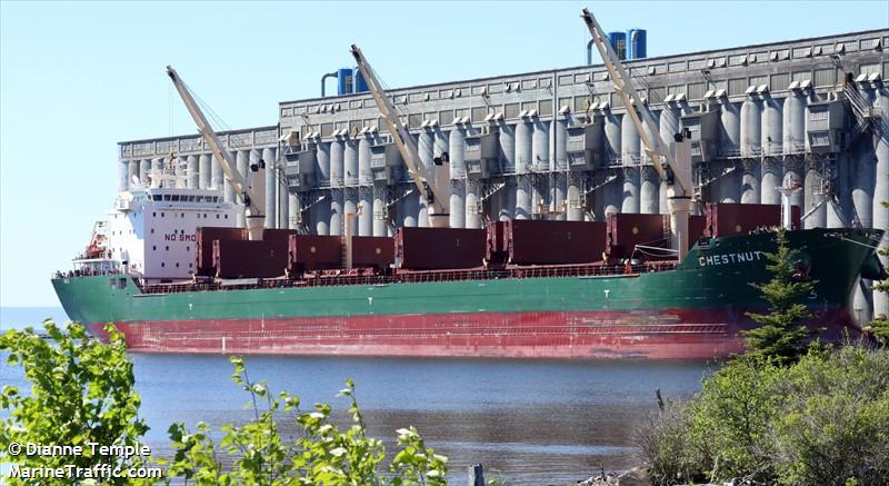 chestnut (Bulk Carrier) - IMO 9477866, MMSI 636018939, Call Sign D5SC9 under the flag of Liberia