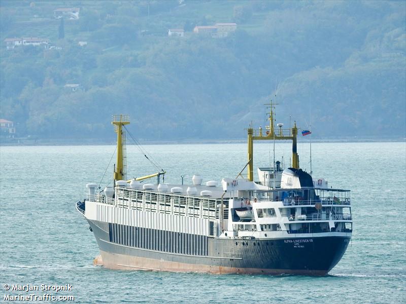 unimar livestock (Livestock Carrier) - IMO 7021821, MMSI 671345000, Call Sign 5VBZ7 under the flag of Togolese Rep
