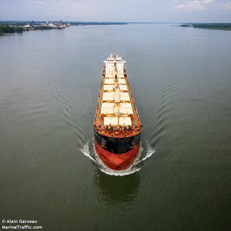 alicia g (Bulk Carrier) - IMO 9459955, MMSI 255915608, Call Sign CQ2066 under the flag of Madeira