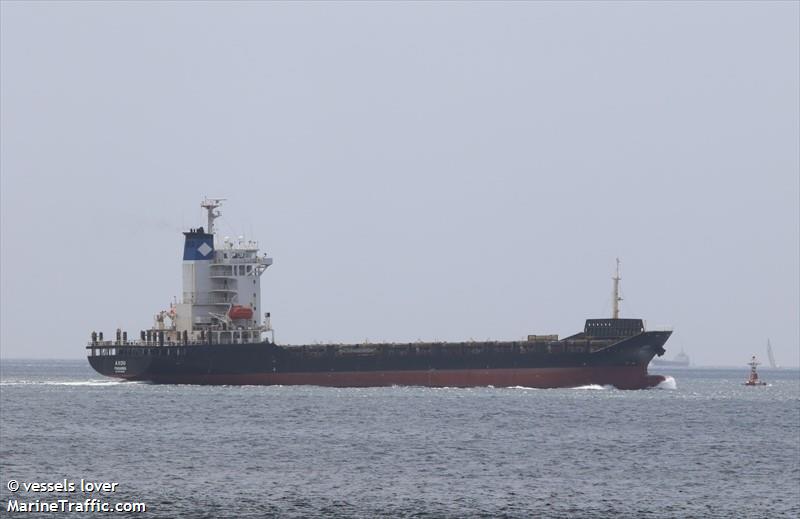 glevin (Container Ship) - IMO 9343699, MMSI 314753000, Call Sign 8PMO6 under the flag of Barbados