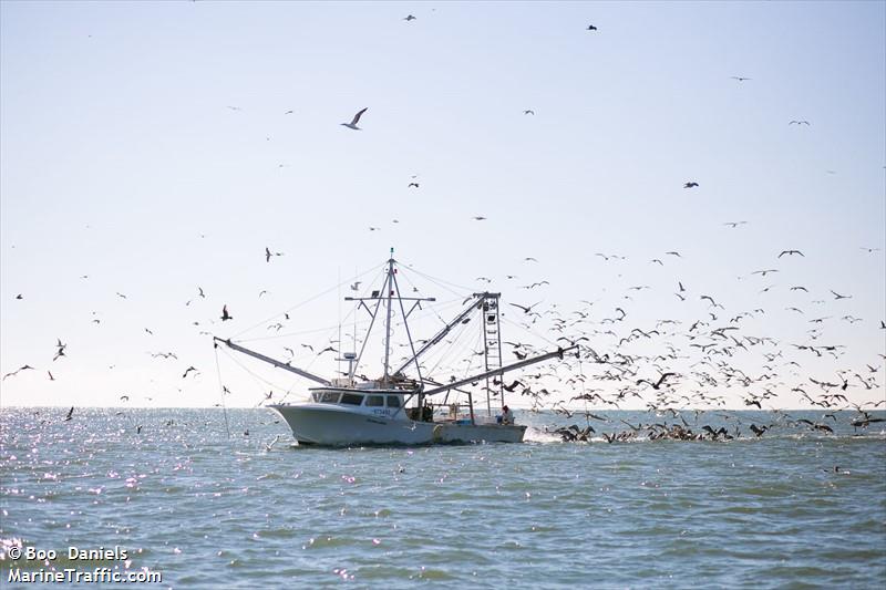 southern belle (Fishing vessel) - IMO , MMSI 368004540, Call Sign WDJ7219 under the flag of United States (USA)