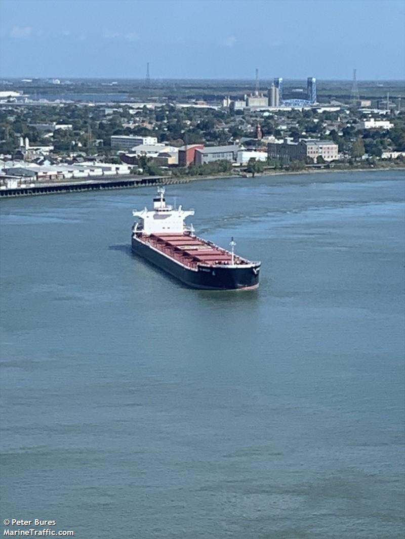 ym mascot (Bulk Carrier) - IMO 9965837, MMSI 636023032, Call Sign 5LLP7 under the flag of Liberia