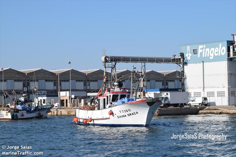 divina graca (Fishing vessel) - IMO , MMSI 263408450, Call Sign CUOK6 under the flag of Portugal