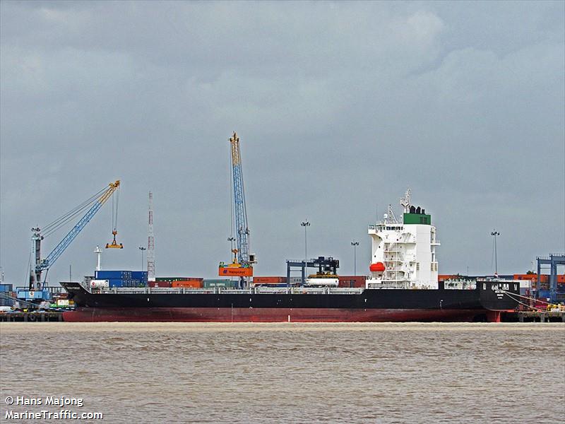 green forest (Container Ship) - IMO 9865972, MMSI 563095800, Call Sign 9V6355 under the flag of Singapore