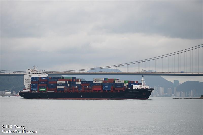 tiger chennai (Container Ship) - IMO 9936989, MMSI 563192600, Call Sign 9V8713 under the flag of Singapore