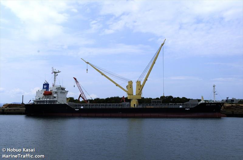 wind arrow (General Cargo Ship) - IMO 9976848, MMSI 352002796, Call Sign 3E5084 under the flag of Panama