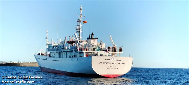 princesa guayarmina (Refrigerated Cargo Ship) - IMO 9966049, MMSI 352999898, Call Sign 3E2351 under the flag of Panama