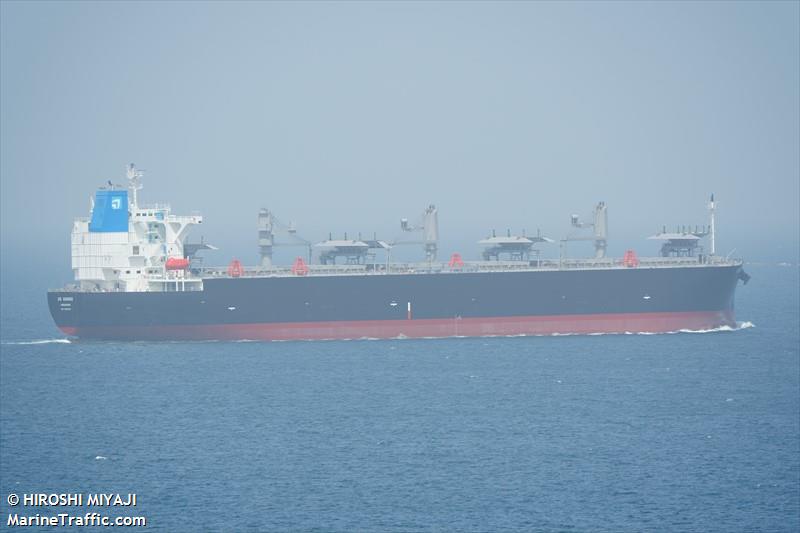og ginkgo (Wood Chips Carrier) - IMO 9959735, MMSI 563192200, Call Sign 9V8041 under the flag of Singapore