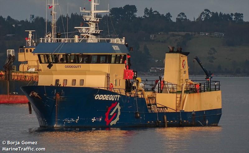 oddegutt (Fish Carrier) - IMO 9226114, MMSI 725014200, Call Sign CBOD under the flag of Chile