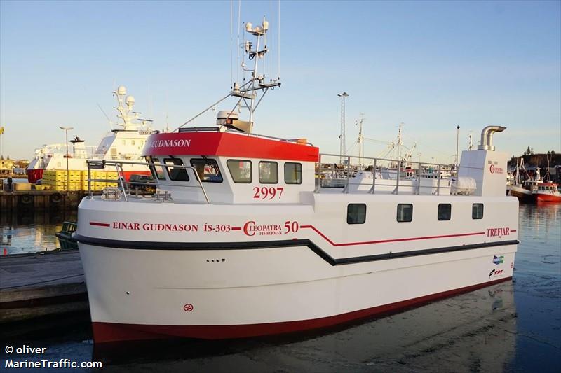 einar gudnason (Fishing vessel) - IMO , MMSI 251856770, Call Sign TFEX under the flag of Iceland