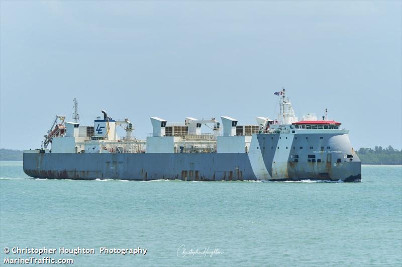 gelbray express (Livestock Carrier) - IMO 9621211, MMSI 255915563, Call Sign CQ2021 under the flag of Madeira