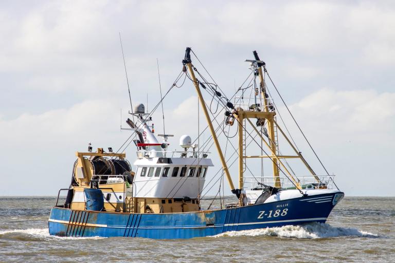 z188 hillie (Fishing Vessel) - IMO 8871730, MMSI 205740000, Call Sign OPHF under the flag of Belgium