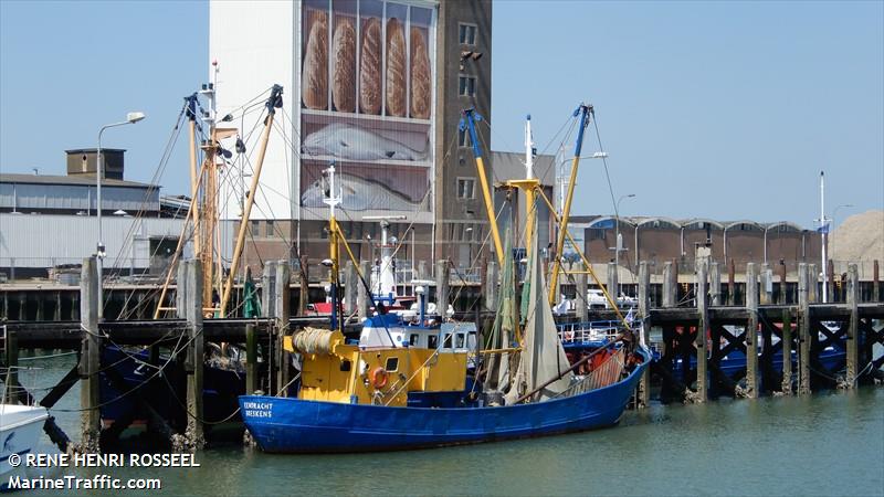 br-29 eendracht (Fishing Vessel) - IMO 8432443, MMSI 245244000, Call Sign PDYB under the flag of Netherlands