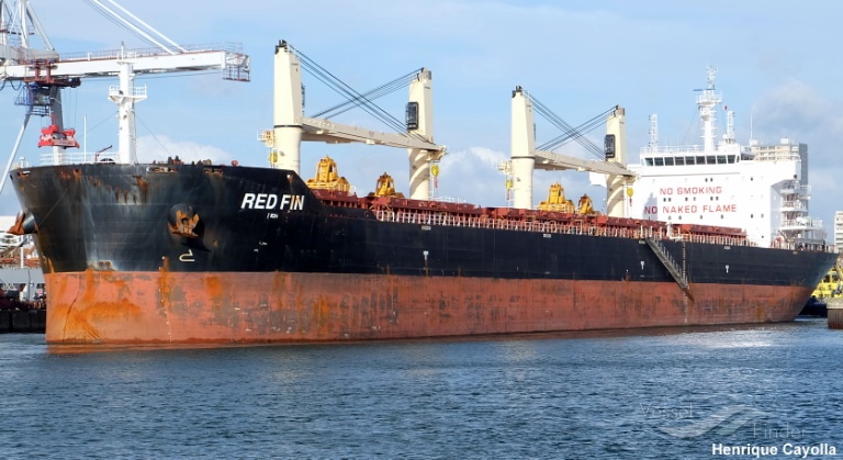 red fin (Bulk Carrier) - IMO 9607306, MMSI 256610000, Call Sign 9HA2892 under the flag of Malta