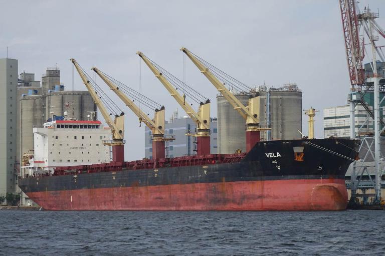 vela (Bulk Carrier) - IMO 9330628, MMSI 258868000, Call Sign LACD7 under the flag of Norway