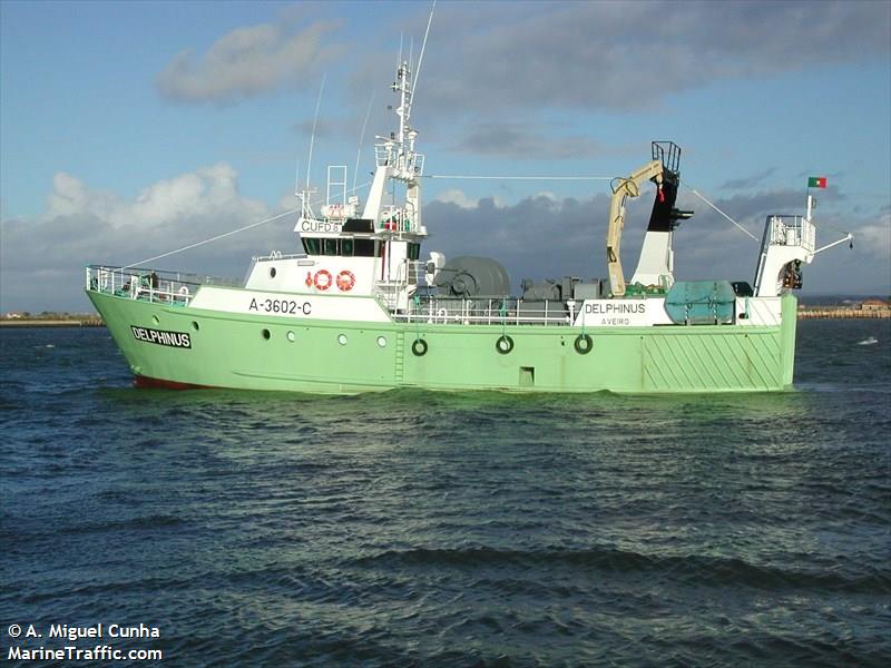 delphinus (Fishing Vessel) - IMO 9096868, MMSI 263410880, Call Sign CUFD8 under the flag of Portugal