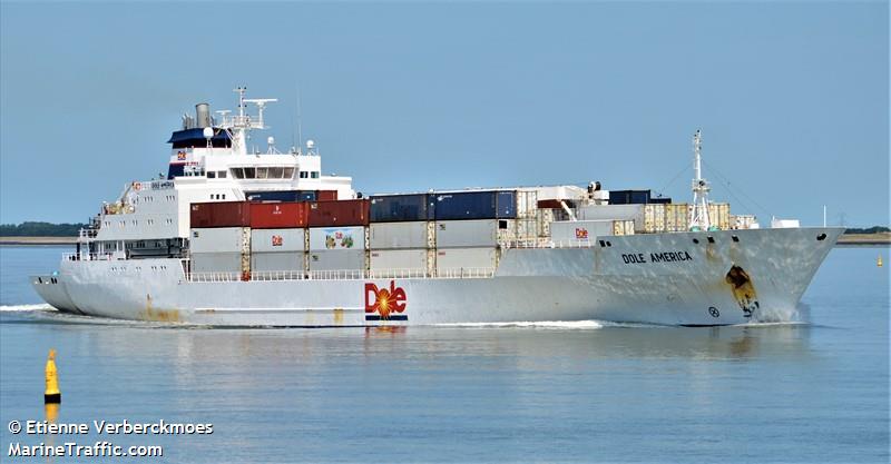 dole america (Refrigerated Cargo Ship) - IMO 9046502, MMSI 311297000, Call Sign C6FS6 under the flag of Bahamas