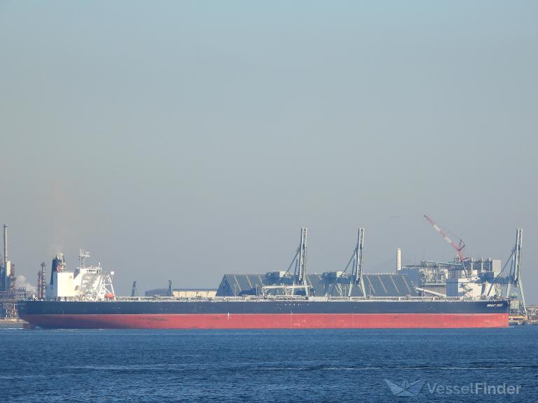 bright crest (Crude Oil Tanker) - IMO 9787792, MMSI 354479000, Call Sign 3FIH4 under the flag of Panama