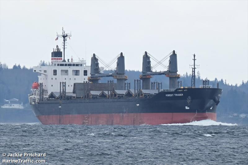 forest trader (Bulk Carrier) - IMO 9614361, MMSI 372191000, Call Sign 3FCW6 under the flag of Panama