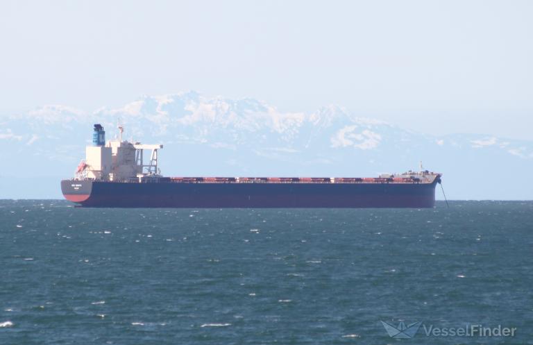 nsu zenith (Bulk Carrier) - IMO 9839038, MMSI 374398000, Call Sign H9DF under the flag of Panama