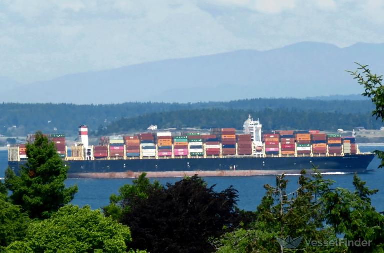 seaspan falcon (Container Ship) - IMO 9793909, MMSI 477154200, Call Sign VRRN8 under the flag of Hong Kong