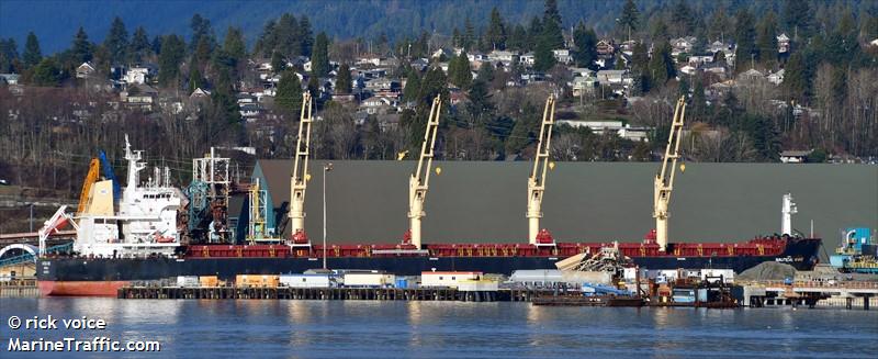 nautical anne (Bulk Carrier) - IMO 9737709, MMSI 636017493, Call Sign D5LF8 under the flag of Liberia