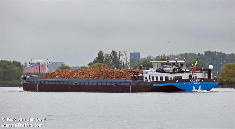 cadensia (Cargo ship) - IMO , MMSI 205563690, Call Sign OT5636 under the flag of Belgium