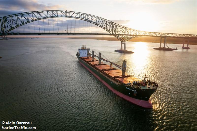 whistler (Bulk Carrier) - IMO 9358371, MMSI 538010692, Call Sign V7A7271 under the flag of Marshall Islands