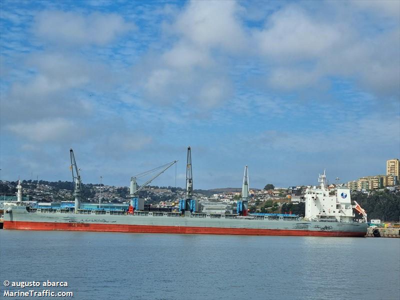 blue ocean (Bulk Carrier) - IMO 9989247, MMSI 477906400, Call Sign VRVR8 under the flag of Hong Kong