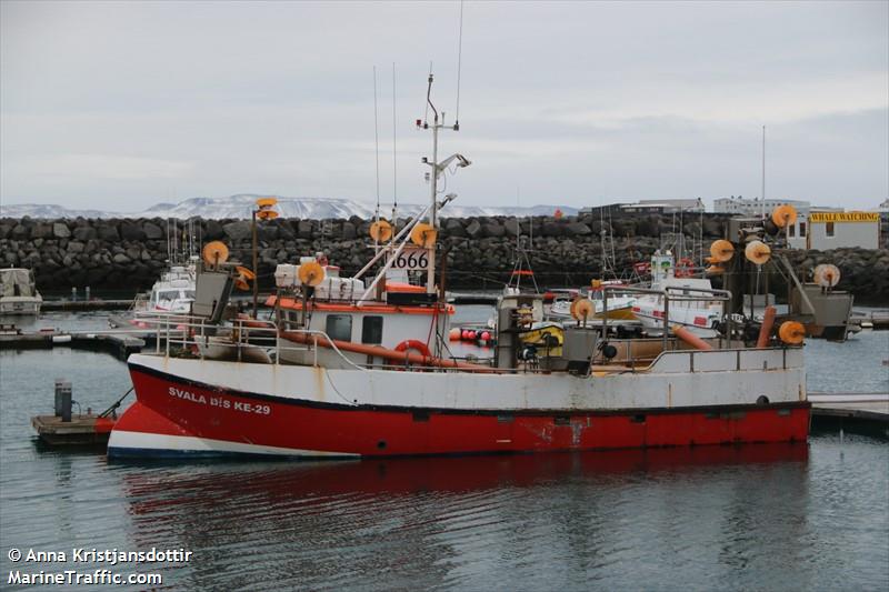 svala dis (Fishing vessel) - IMO , MMSI 251311640, Call Sign 1666 under the flag of Iceland