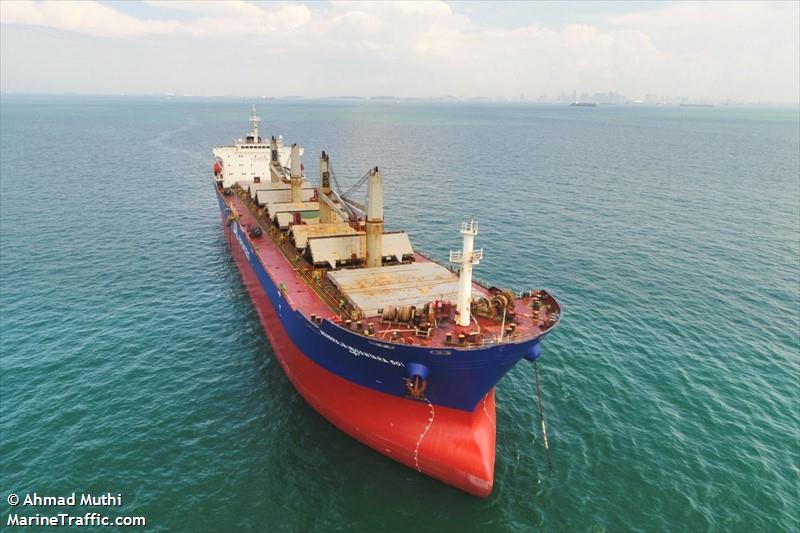 maharaja nusanta s01 (Bulk Carrier) - IMO 9488968, MMSI 525501829, Call Sign YDCS3 under the flag of Indonesia