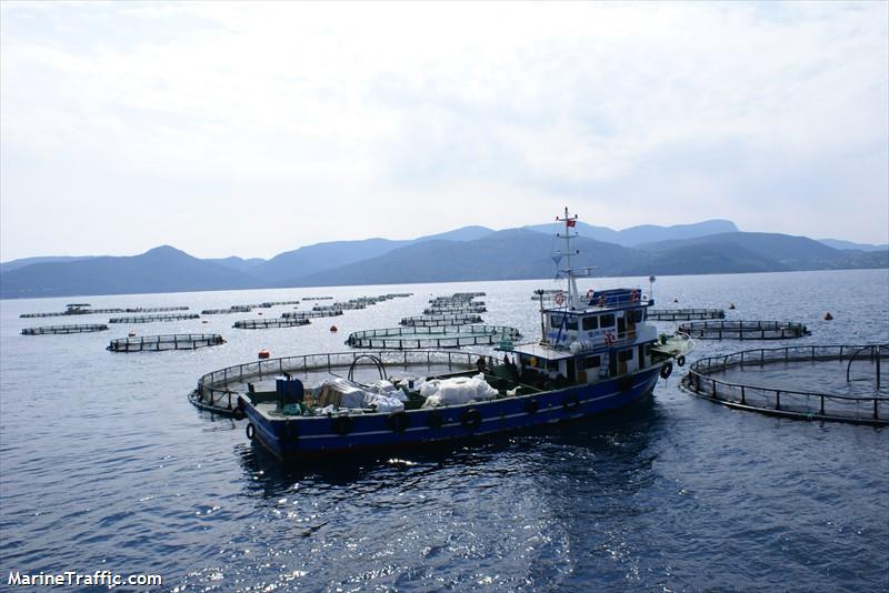 sursan-3 (Fishing vessel) - IMO , MMSI 271069003, Call Sign TC7262 under the flag of Turkey