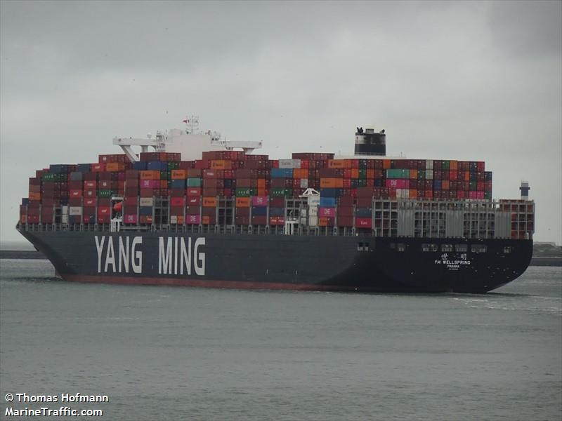 ym wellspring (Container Ship) - IMO 9757230, MMSI 636023250, Call Sign 5LMT7 under the flag of Liberia