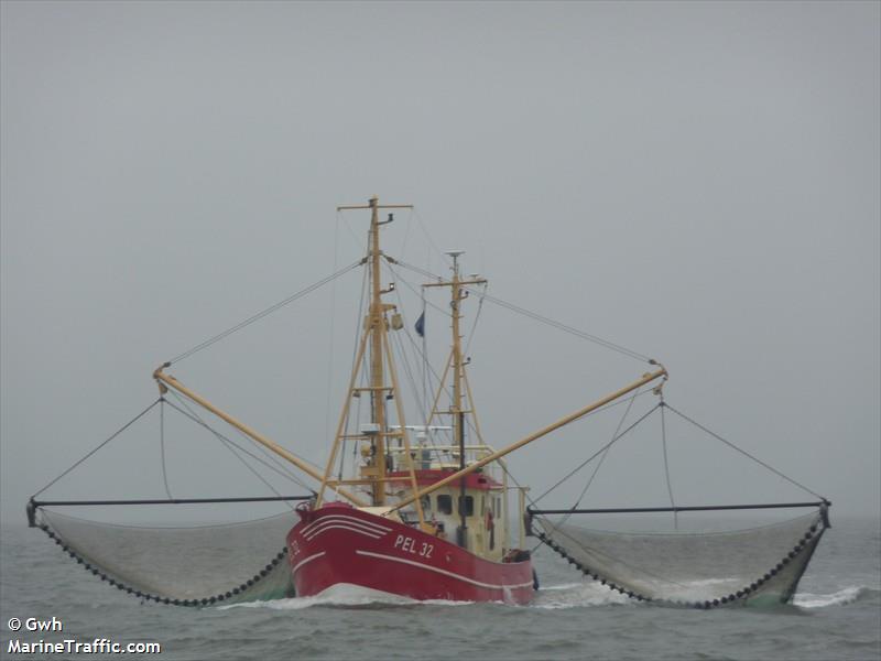 tuemmler (Fishing vessel) - IMO , MMSI 211182000, Call Sign DIXU under the flag of Germany