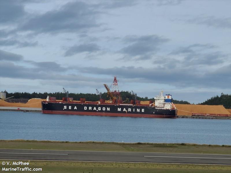 sdm quanzhou (Wood Chips Carrier) - IMO 9949259, MMSI 636022820, Call Sign 5LKP7 under the flag of Liberia