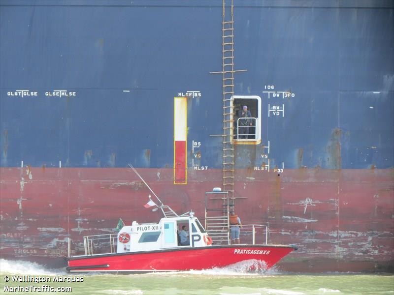 pilot boat xii (Fishing vessel) - IMO , MMSI 710013280, Call Sign 100200 under the flag of Brazil