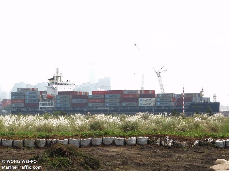 celandine (Container Ship) - IMO 9685774, MMSI 232049845, Call Sign MOEK5 under the flag of United Kingdom (UK)