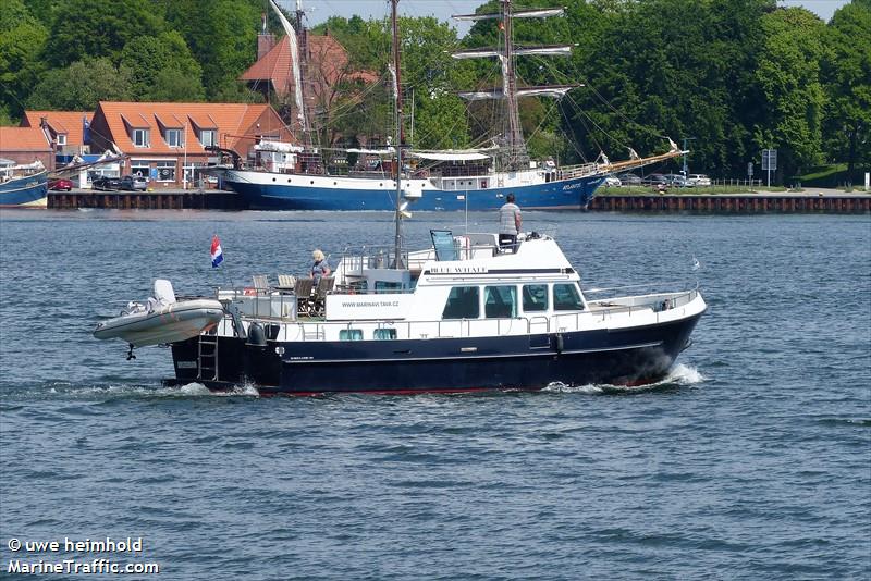 blue whale (Pleasure craft) - IMO , MMSI 244150918, Call Sign PD5883 under the flag of Netherlands