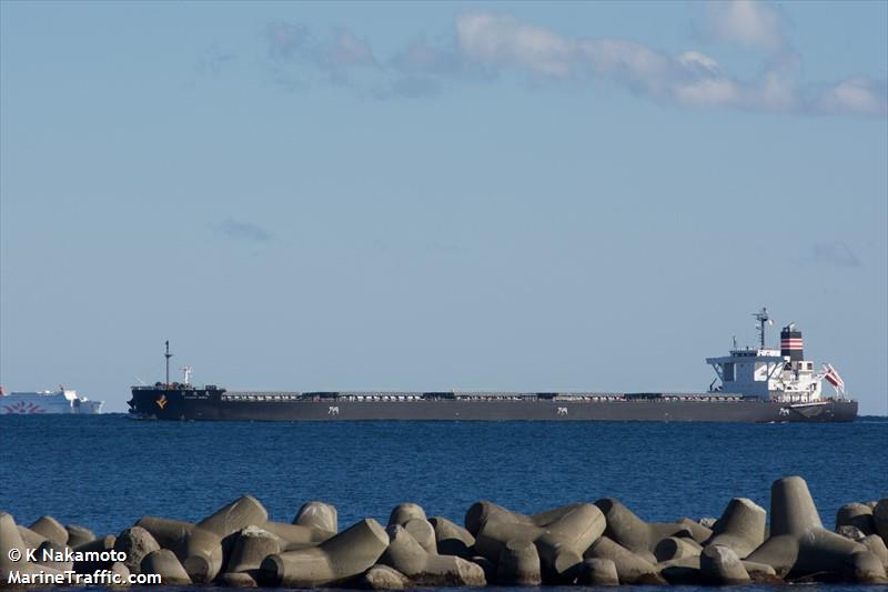 paraburdoo (Bulk Carrier) - IMO 9621247, MMSI 431168000, Call Sign 7KPC under the flag of Japan