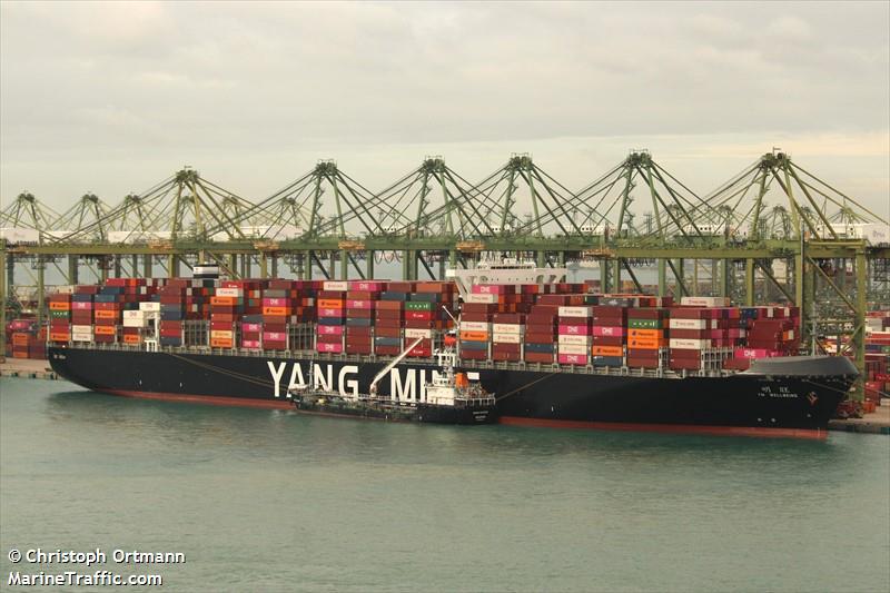 ym wellbeing (Container Ship) - IMO 9820908, MMSI 636023251, Call Sign 5LMT8 under the flag of Liberia