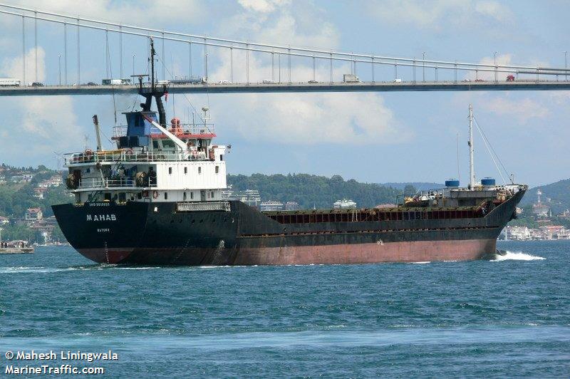 blue star i (General Cargo Ship) - IMO 8359548, MMSI 677039800, Call Sign 5IM498 under the flag of Tanzania