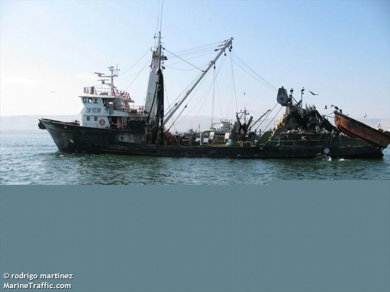 audaz (Fishing vessel) - IMO , MMSI 725000027, Call Sign CB 2515 under the flag of Chile