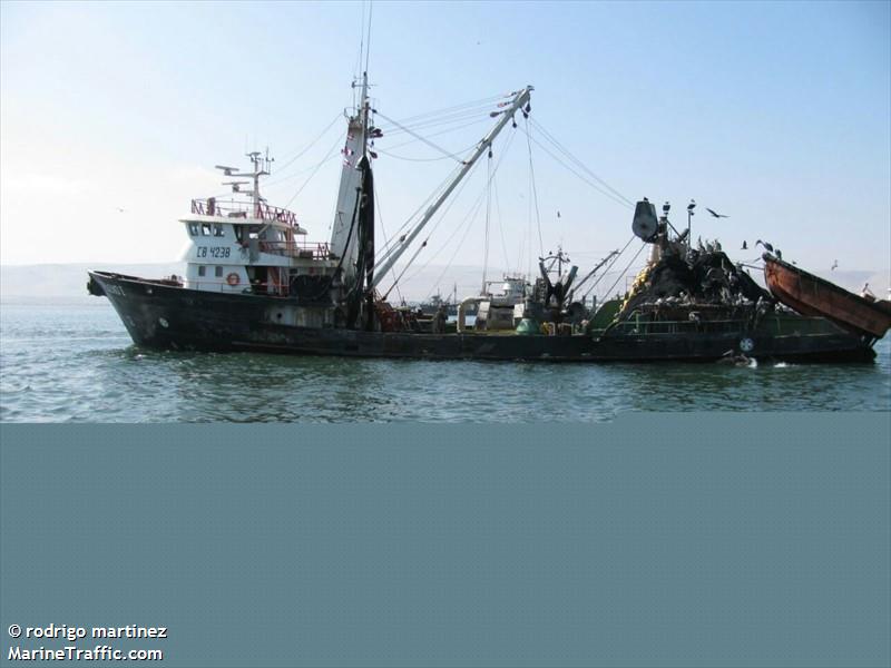 audaz (Fishing Vessel) - IMO , MMSI 725000027, Call Sign CB 2515 under the flag of Chile