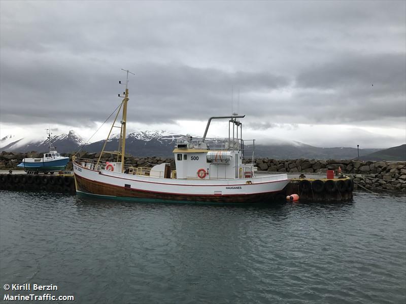 whales (Passenger ship) - IMO , MMSI 251590110, Call Sign TFYE under the flag of Iceland