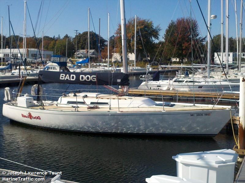 bad dog (Sailing vessel) - IMO , MMSI 338136206 under the flag of USA