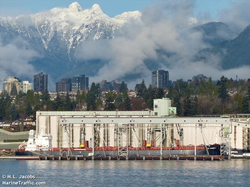 great trader (Bulk Carrier) - IMO 9937579, MMSI 548863000, Call Sign DYCX under the flag of Philippines
