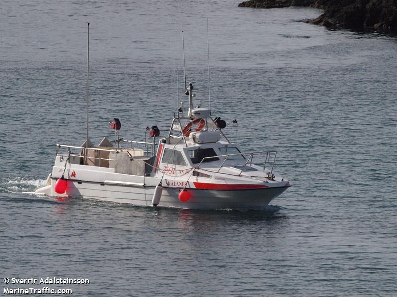 skalanes (Fishing vessel) - IMO , MMSI 251490240, Call Sign 2501 under the flag of Iceland