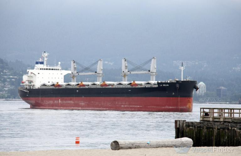 la selva (Bulk Carrier) - IMO 9846081, MMSI 205789000, Call Sign ONKJ under the flag of Belgium