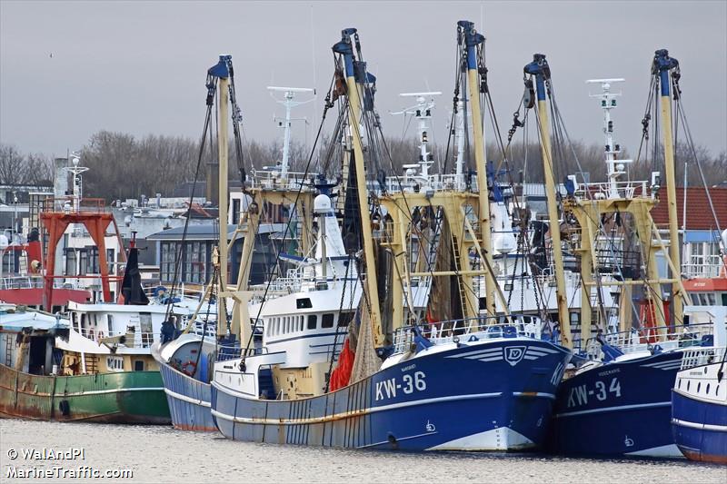 kw36 margriet (Fishing Vessel) - IMO 9284166, MMSI 244030996, Call Sign PBHR under the flag of Netherlands